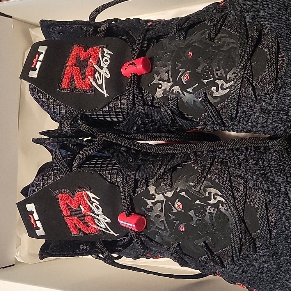 LEBRON XVII